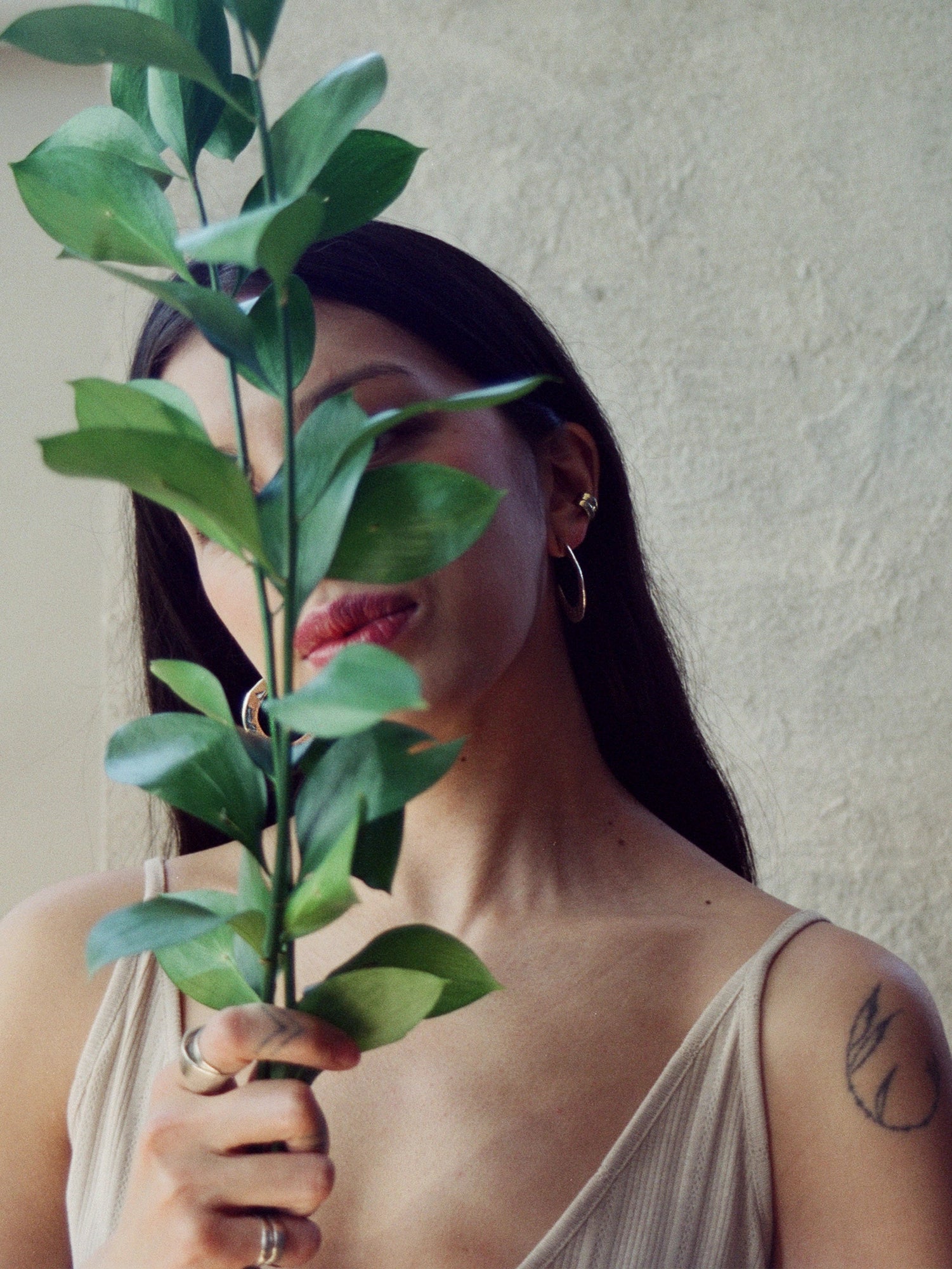 Hollis Large Brass Hoop Stud Earrings Michelle Ross