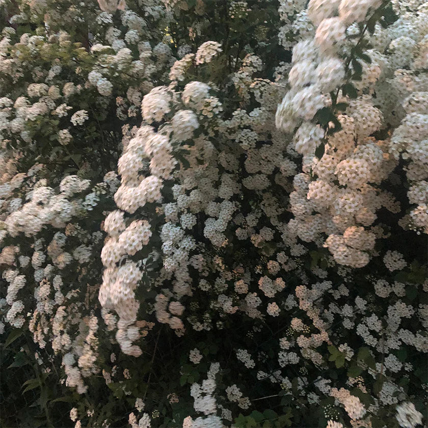 michelle ross jewellery maelo inspiration