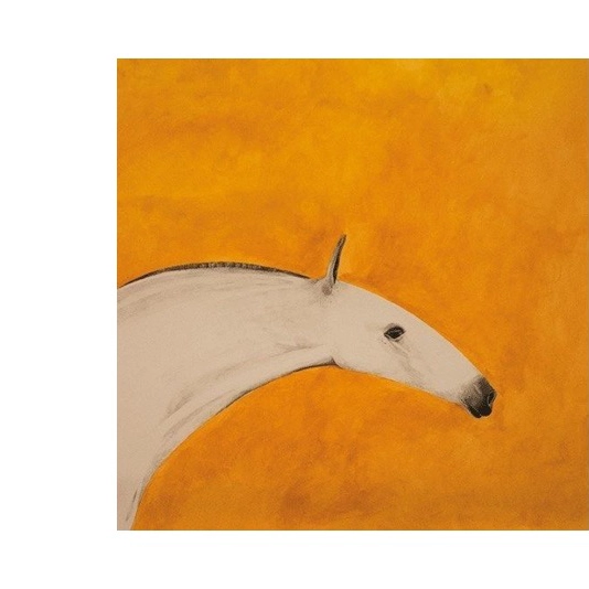 michelle ross roan collection inspiration photo of a horse