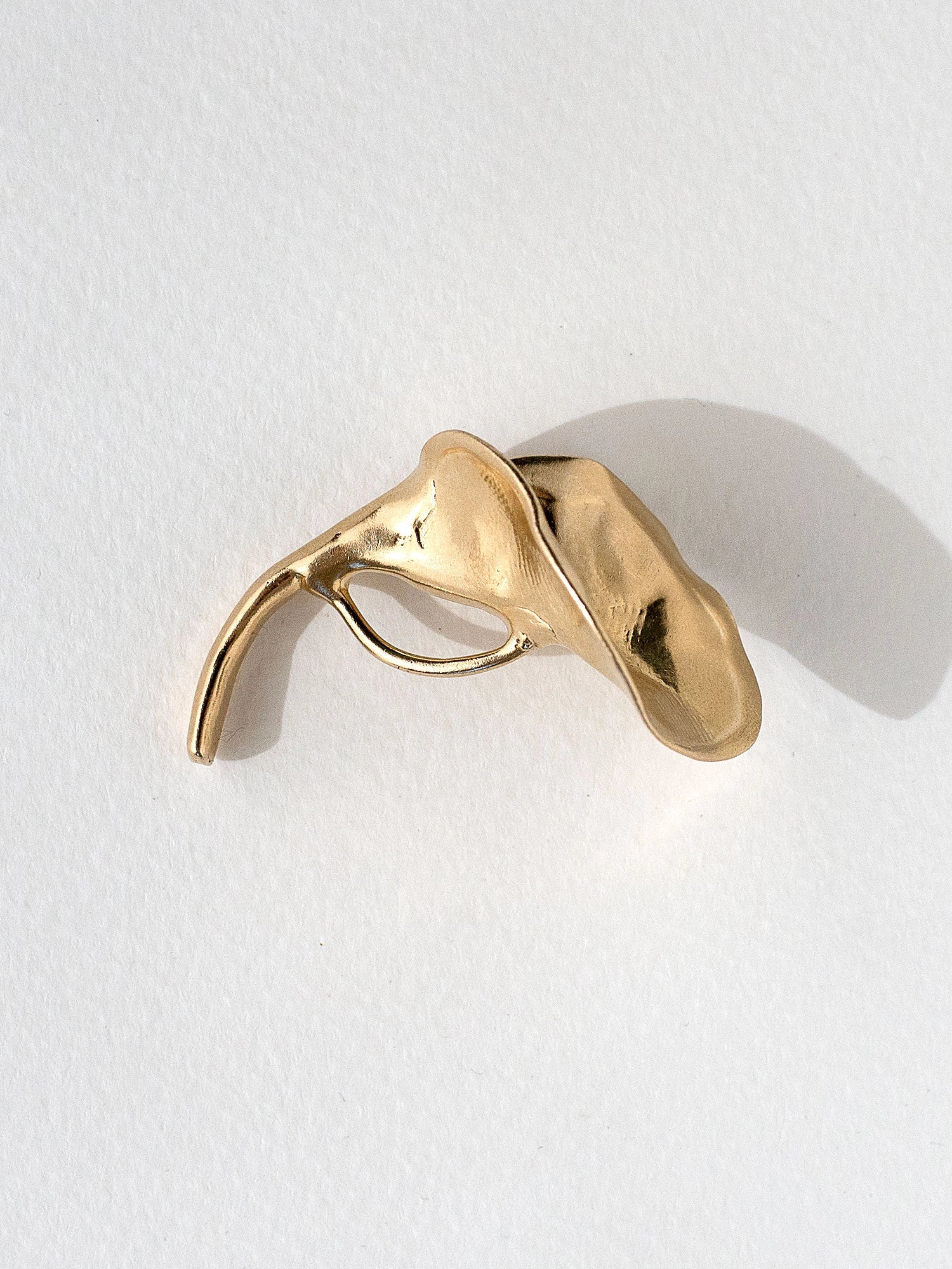 A brass brooch in an abstract floral shape by Canadian designer Michelle Ross