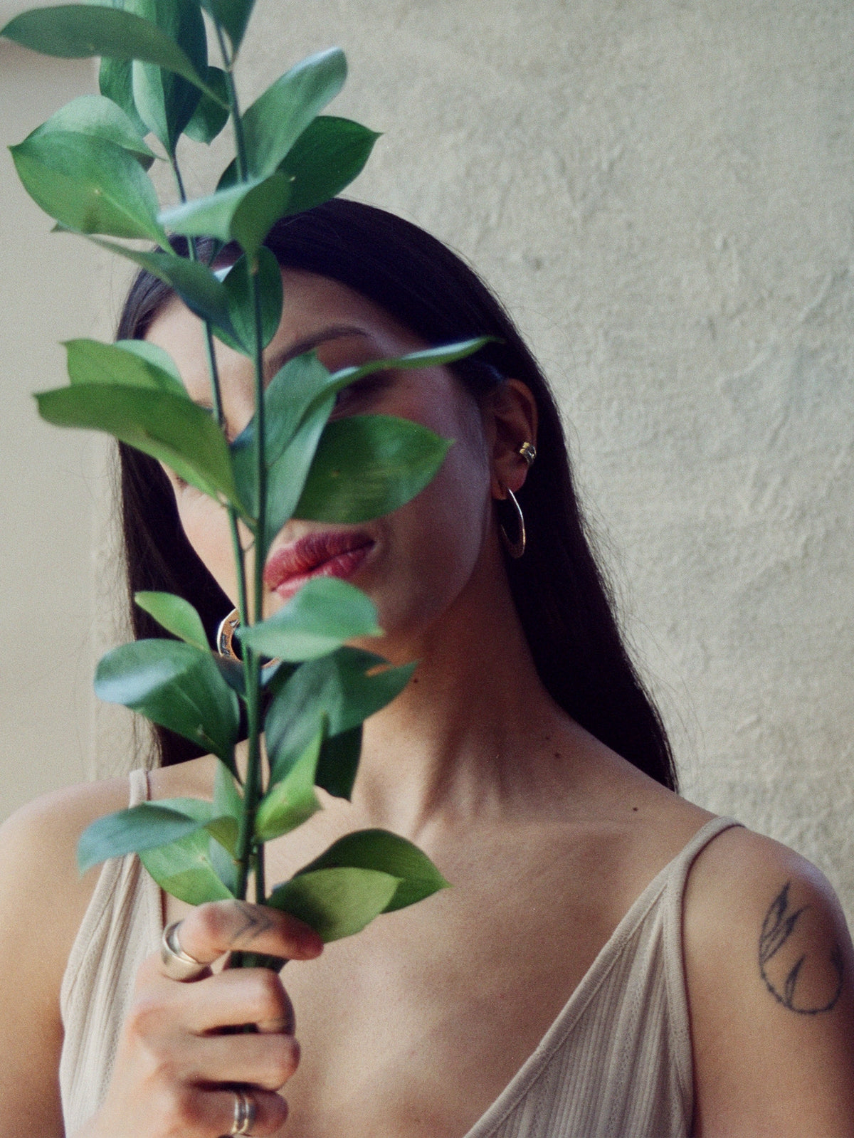 Hollis Large Brass Hoop Stud Earrings Michelle Ross