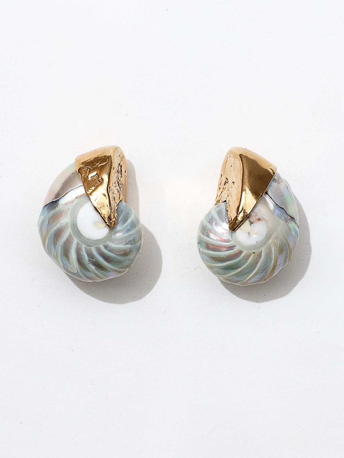 A pair of seashell and brass statement stud earrings by Canadian jewelry designer Michelle Ross