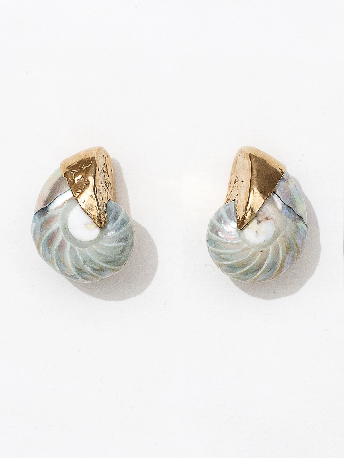 A pair of seashell and brass statement stud earrings by Canadian jewelry designer Michelle Ross