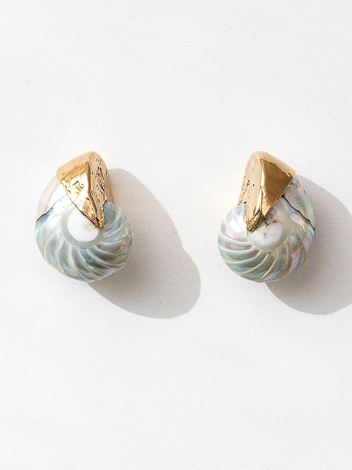 A pair of seashell and brass statement stud earrings by Canadian jewelry designer Michelle Ross