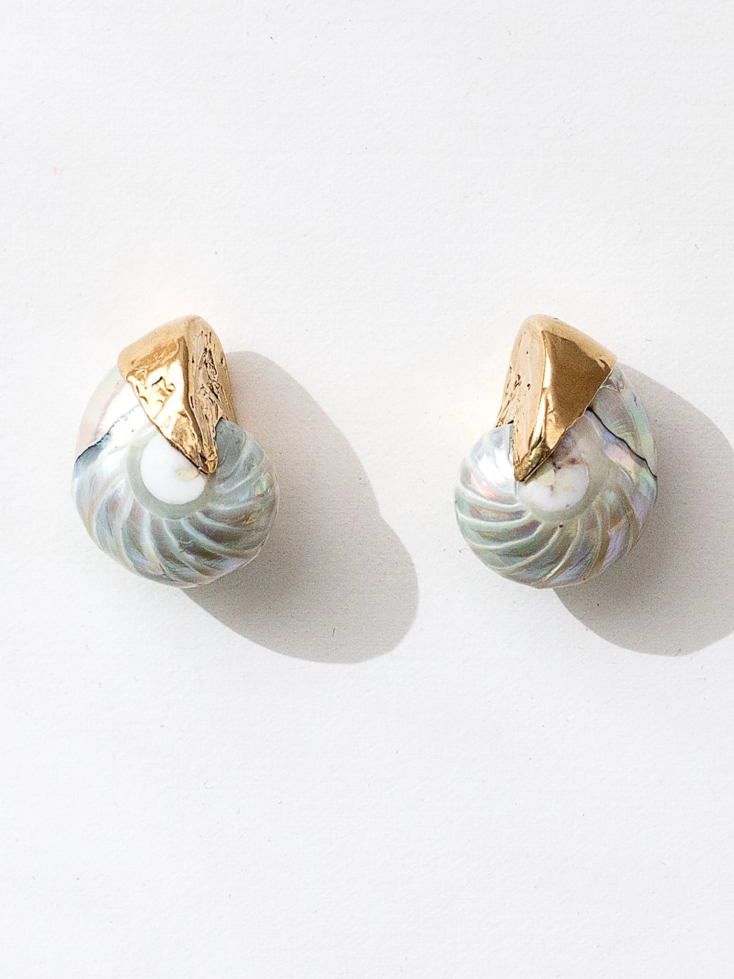 A pair of seashell and brass statement stud earrings by Canadian jewelry designer Michelle Ross
