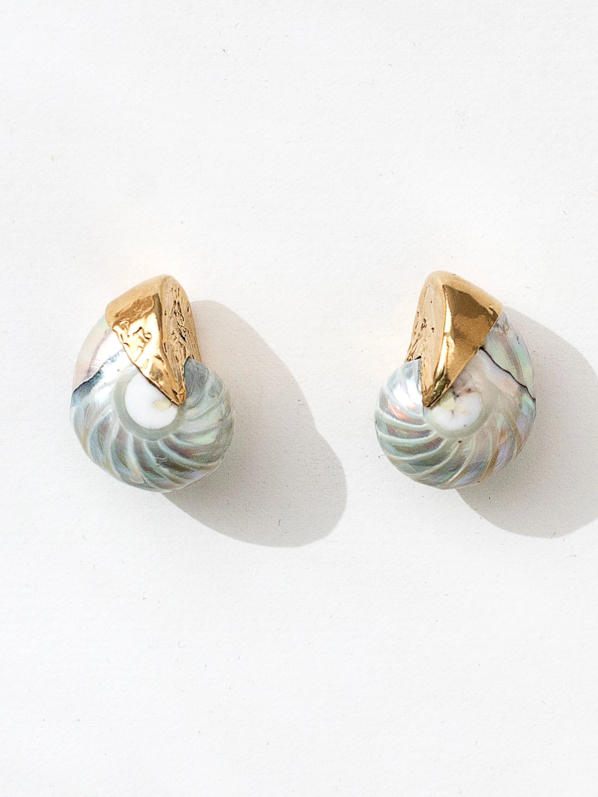A pair of seashell and brass statement stud earrings by Canadian jewelry designer Michelle Ross