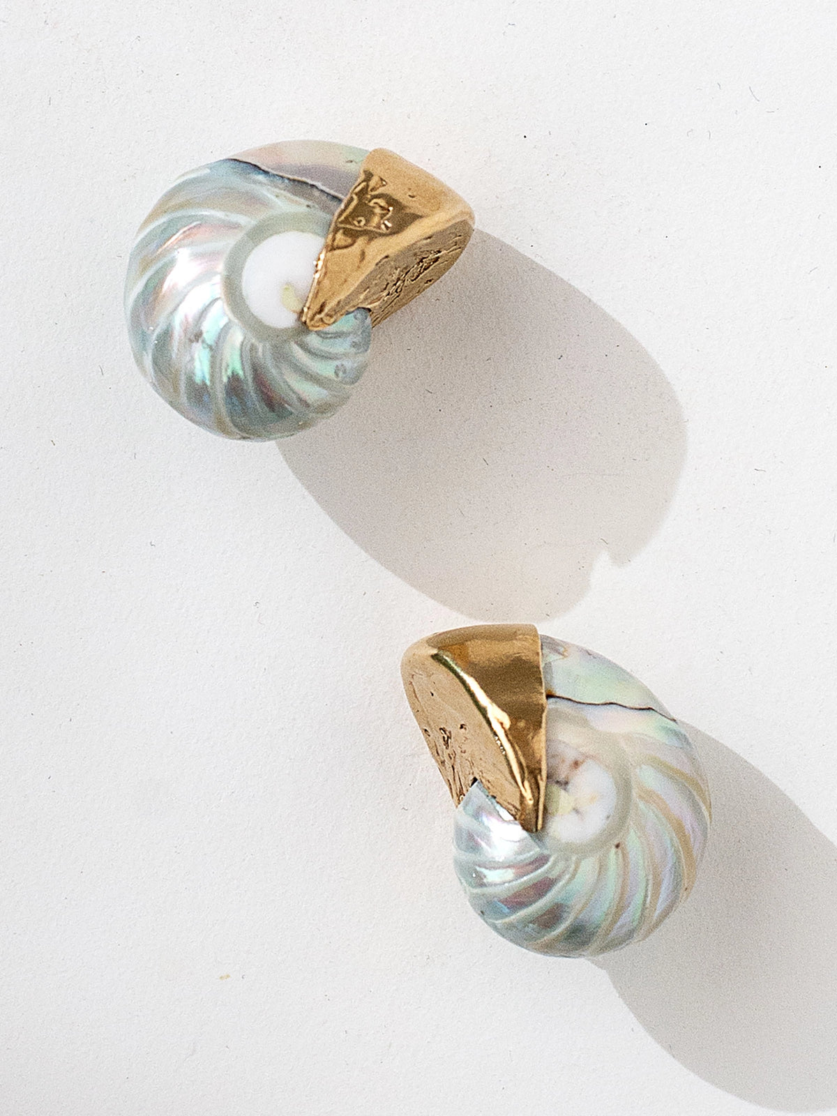 A pair of seashell and brass statement stud earrings by Canadian jewelry designer Michelle Ross