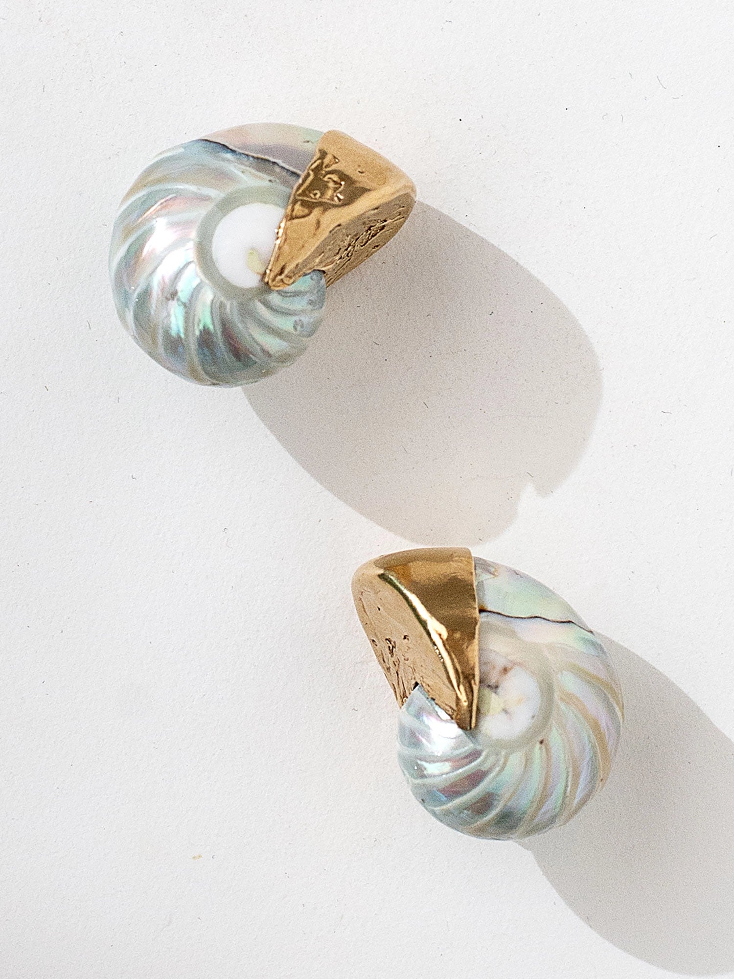 A pair of seashell and brass statement stud earrings by Canadian jewelry designer Michelle Ross