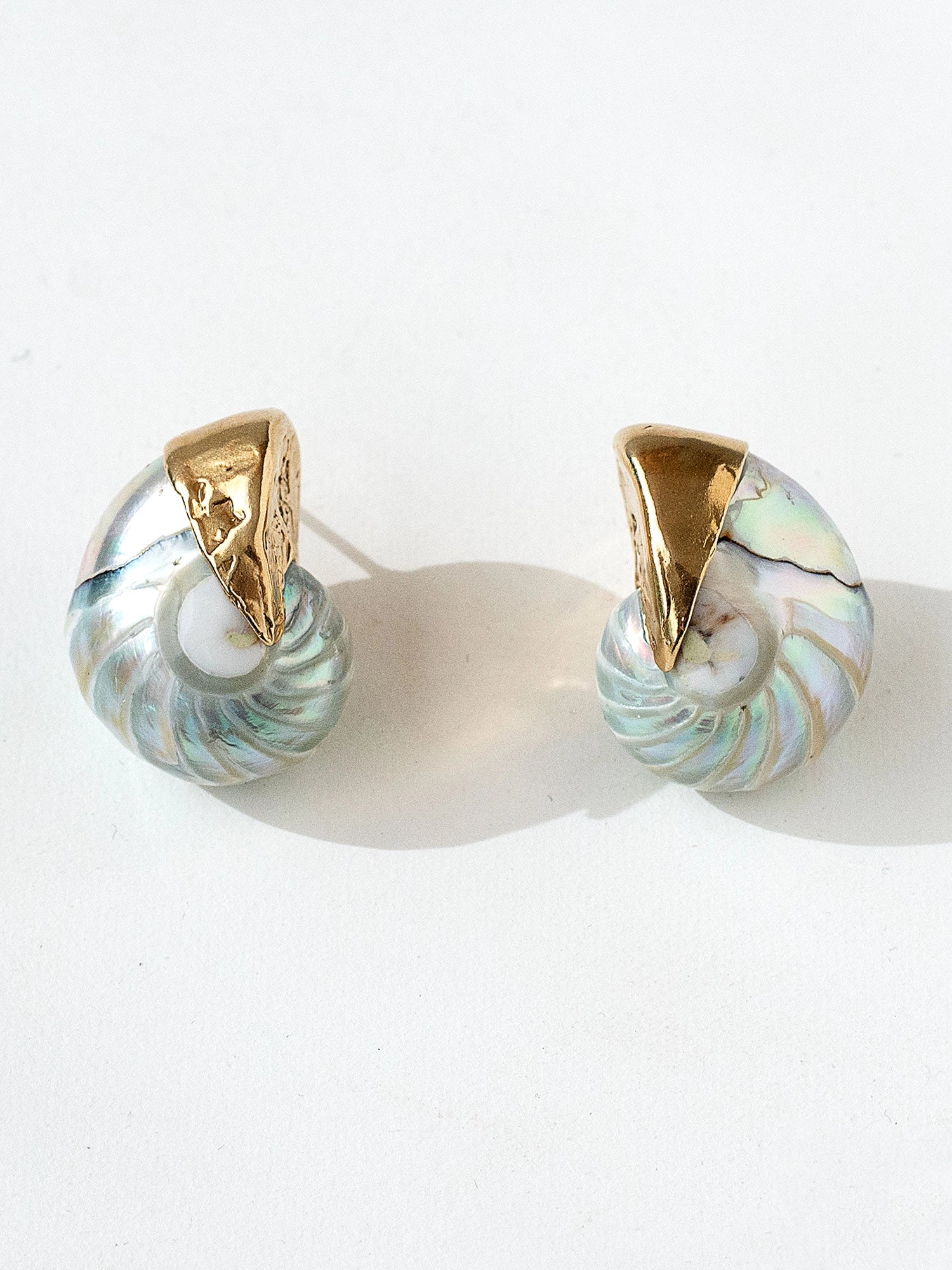 A pair of seashell and brass statement stud earrings by Canadian jewelry designer Michelle Ross