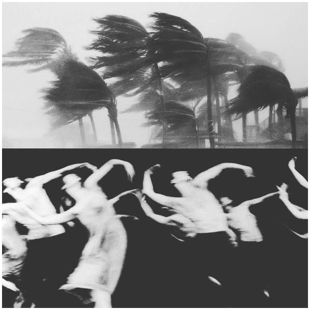 Roan Jewellery Collection Inspiration Photo of palm trees swaying in the breeze and people dancing